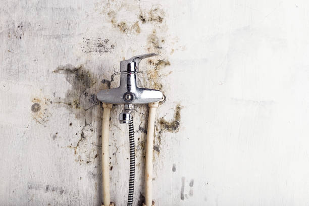 Best Emergency Mold Removal  in Swedeland, PA