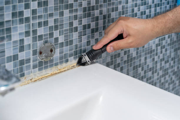 Best Emergency Mold Removal  in Swedeland, PA