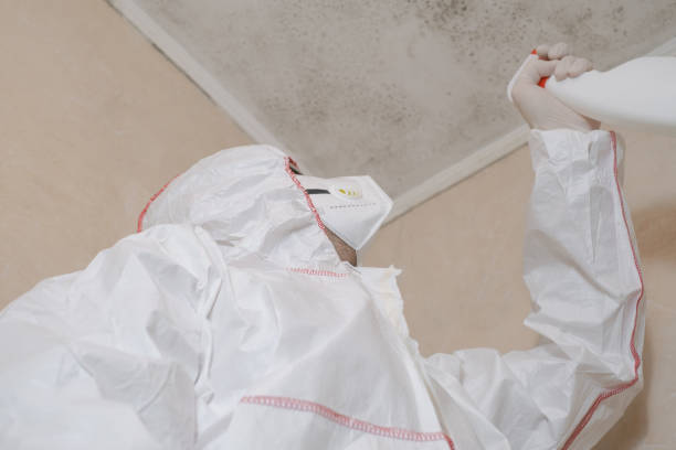 Best Office Mold Removal Services  in Swedeland, PA
